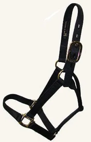 Big D Plain Halter (Large Horse) BLACK ONLY