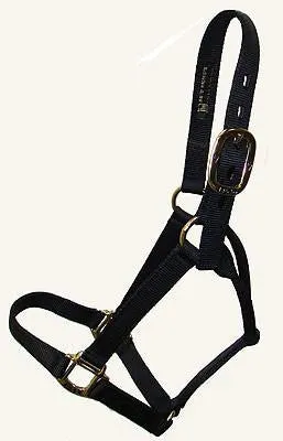 Big D Plain Halter (Large Horse) BLACK ONLY