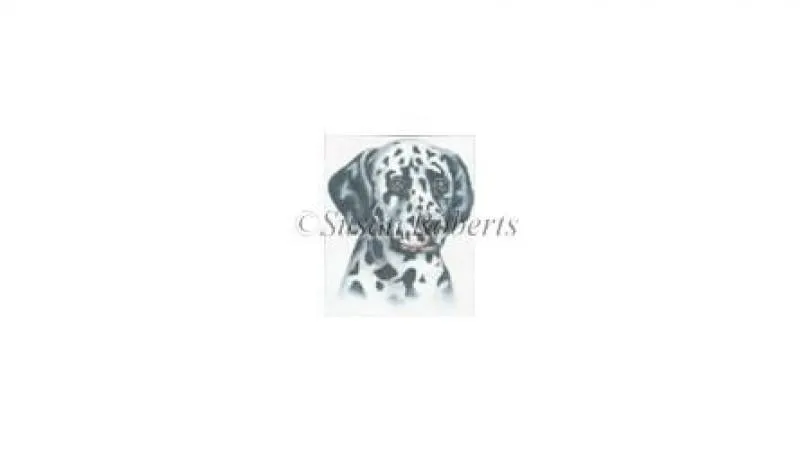Dalmation Canvas