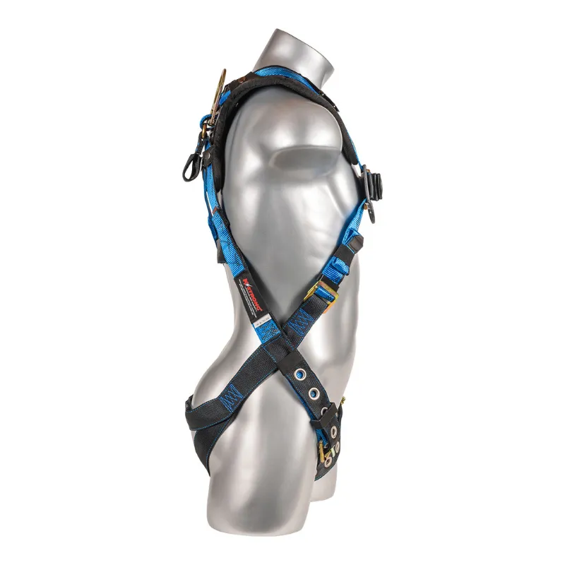 Essential  5-Point FBH with Removable Back/Shoulder Pad, TB Legs, Web Loop Added Under Dorsal D-ring Harness
