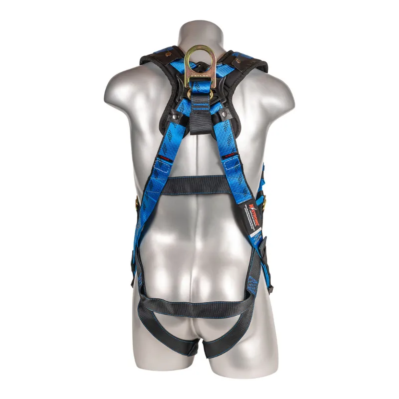 Essential  5-Point FBH with Removable Back/Shoulder Pad, TB Legs, Web Loop Added Under Dorsal D-ring Harness