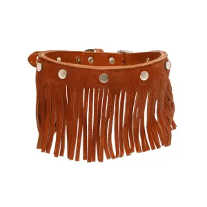 Fringe Dog Collar