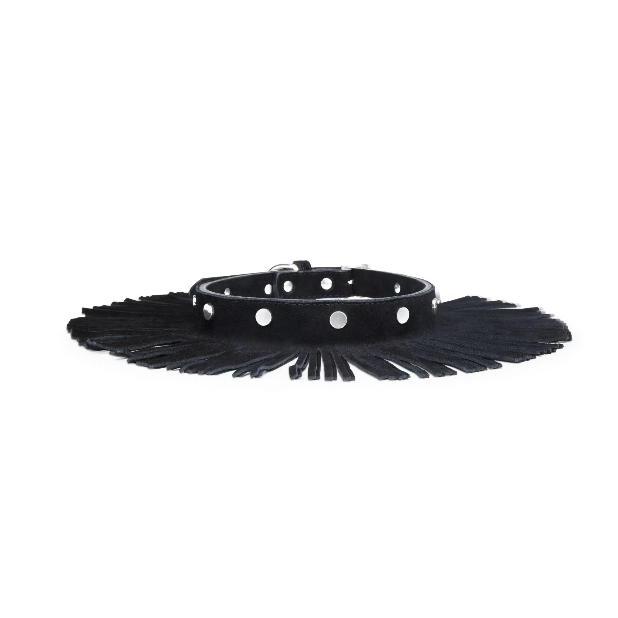Fringe Dog Collar
