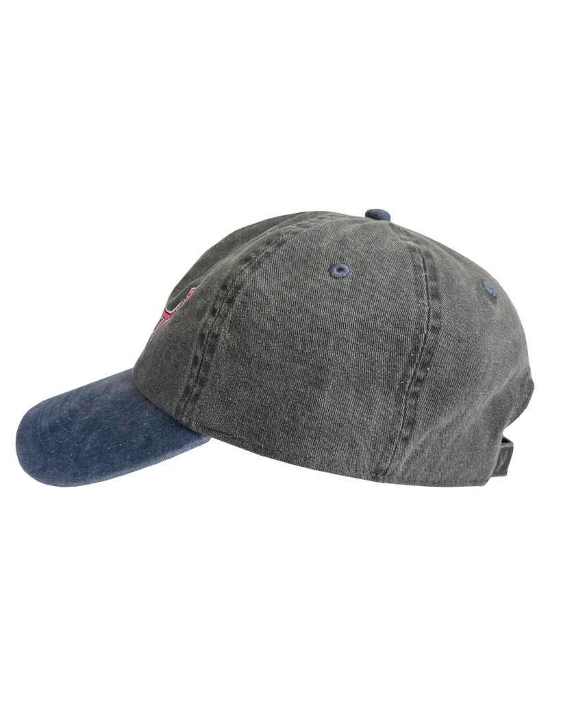 Frog Frog Exists! Cap - Black/Turquoise