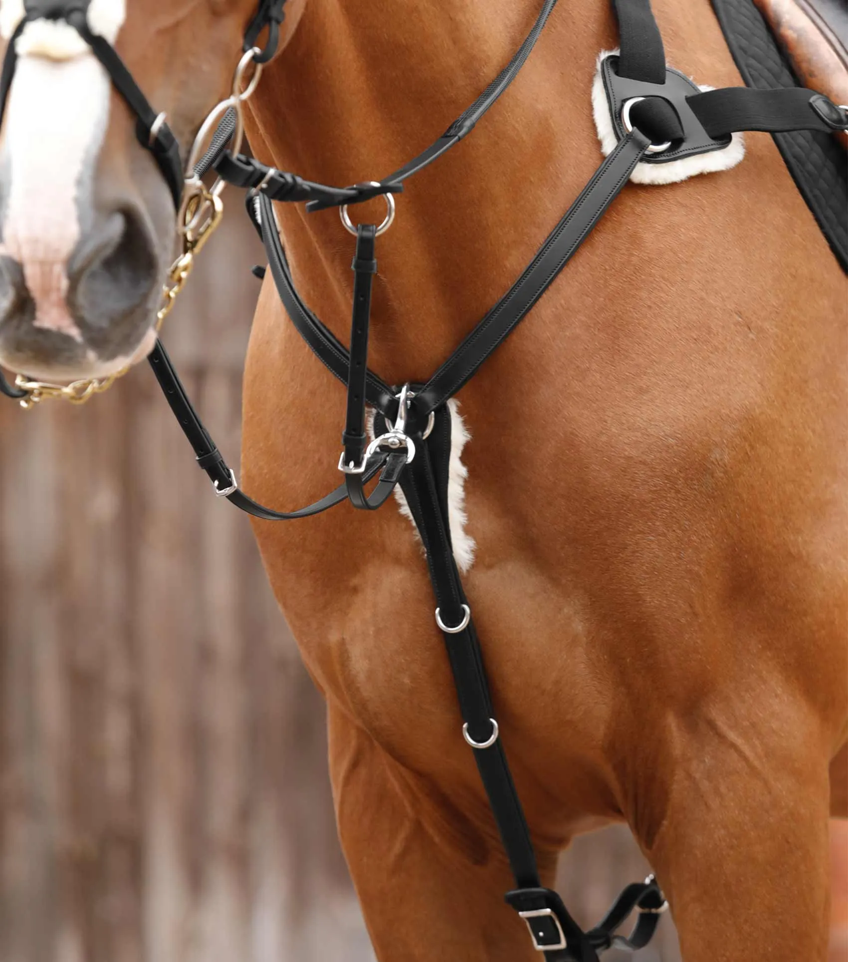 Invorio 5 Point Breastplate Black