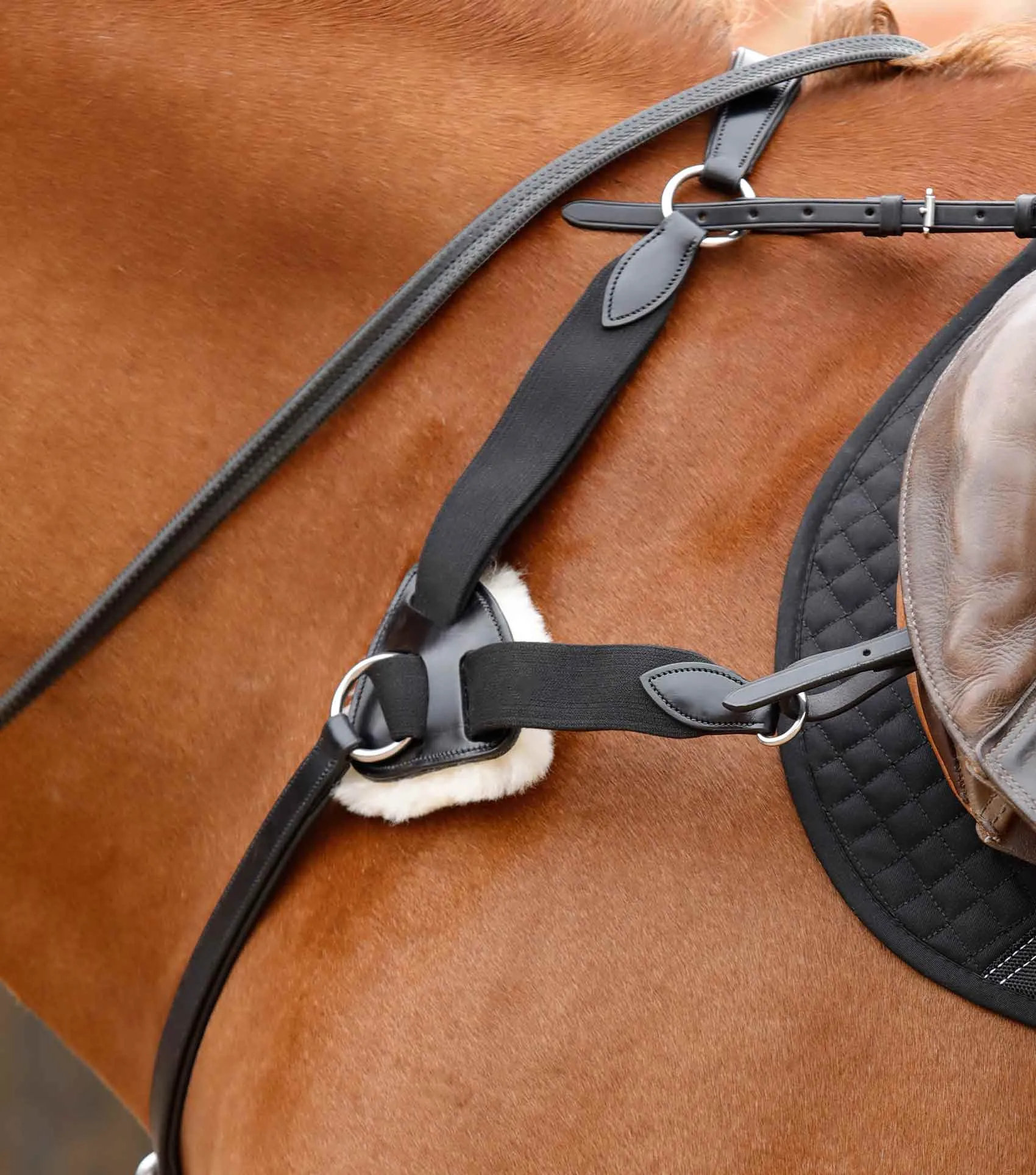 Invorio 5 Point Breastplate Black