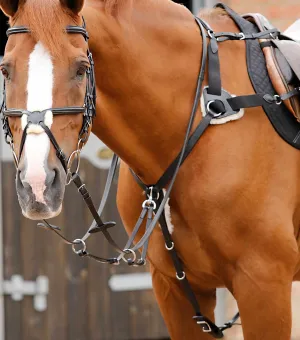 Invorio 5 Point Breastplate Black