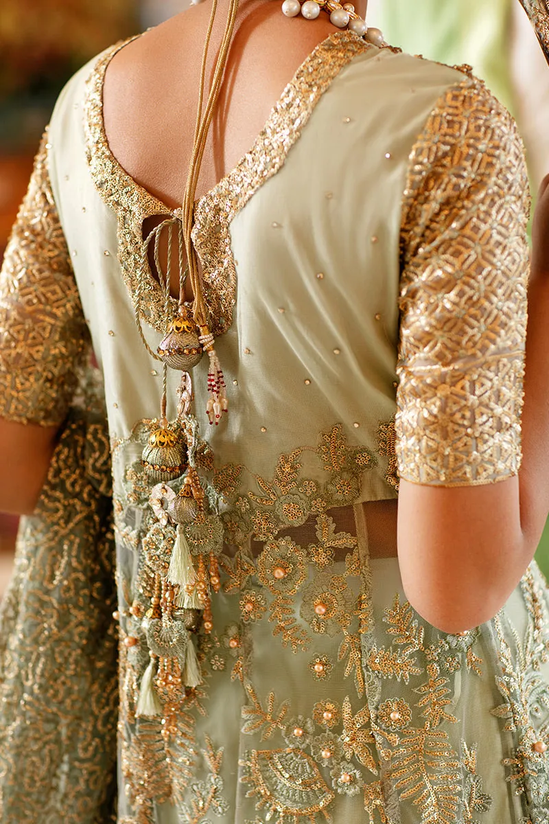 Julie TDL22-07 | Mushq Serendipity Trousseau De Luxe 2022 Luxury Wedding Collection | Embroidered Net Suits