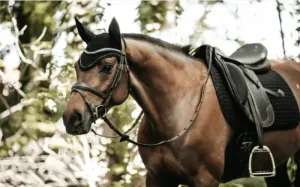 Kentucky Saddlepad Black Pearls Dressage