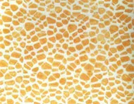 Large Fish Platter Pebble Apricot
