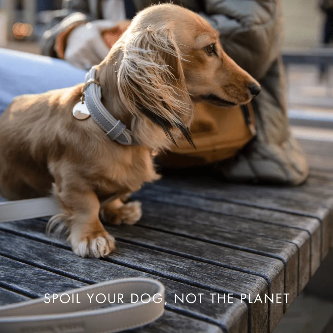 London Vegan Leather 4ft Leash | Grey