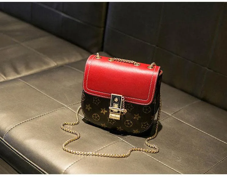 Louis Vuitton Classic Leather Potable Red Bag
