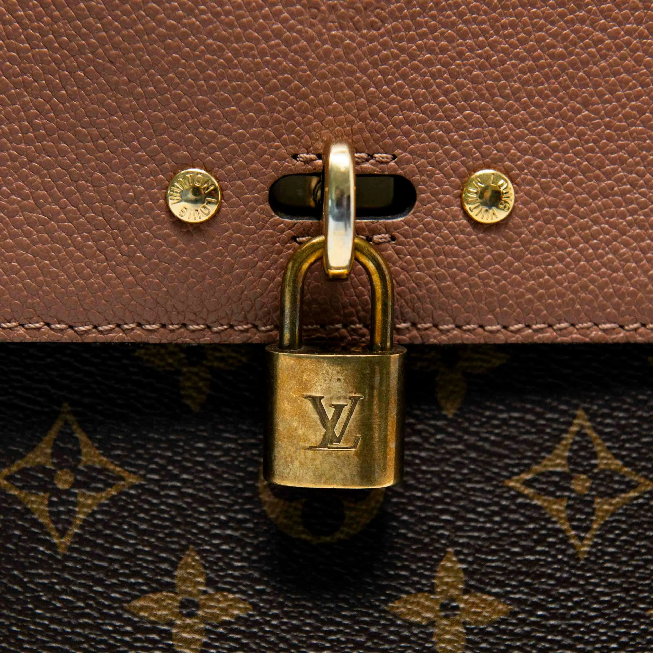 Louis Vuitton Monogram Venus Bag