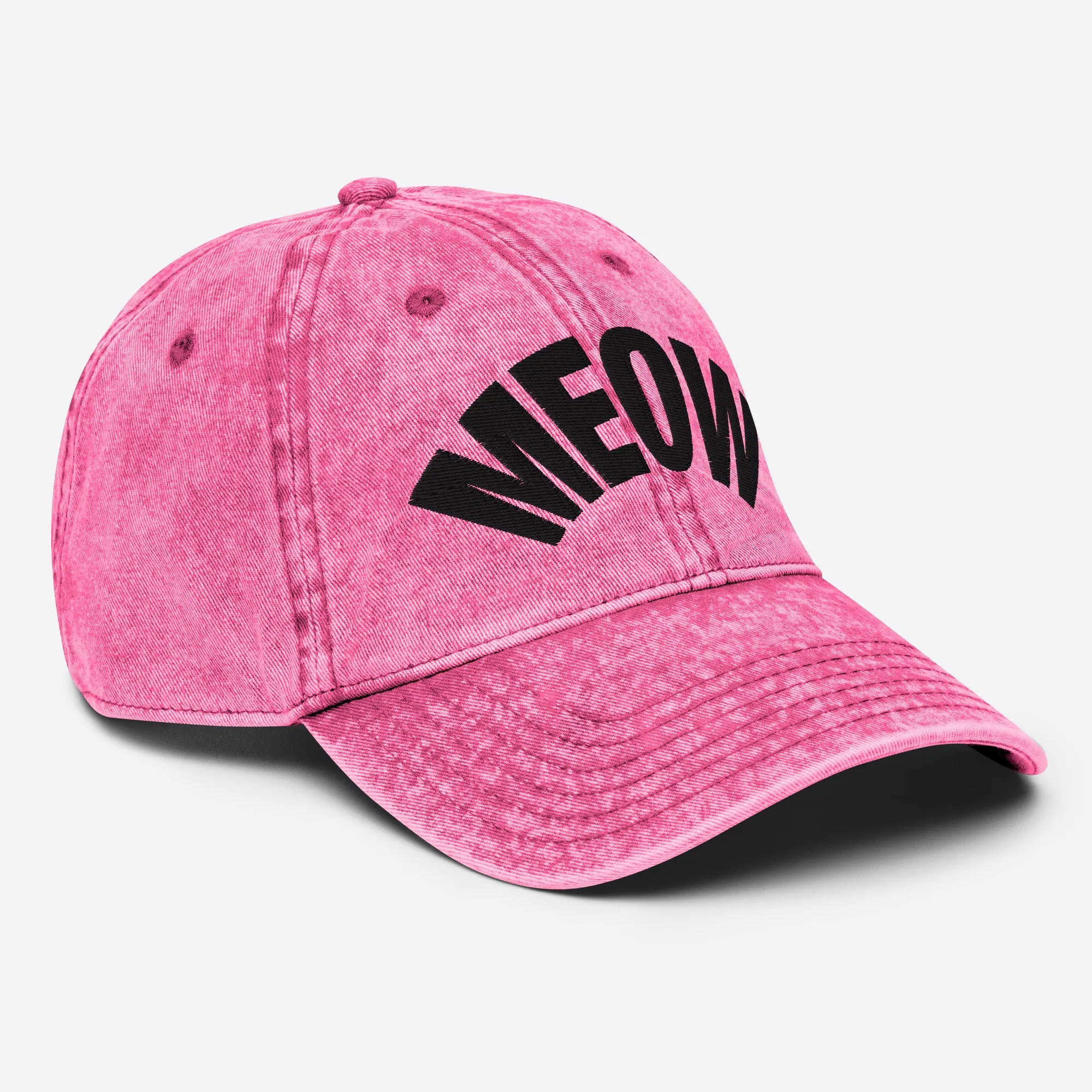 Meow Vintage Denim Dad Cap