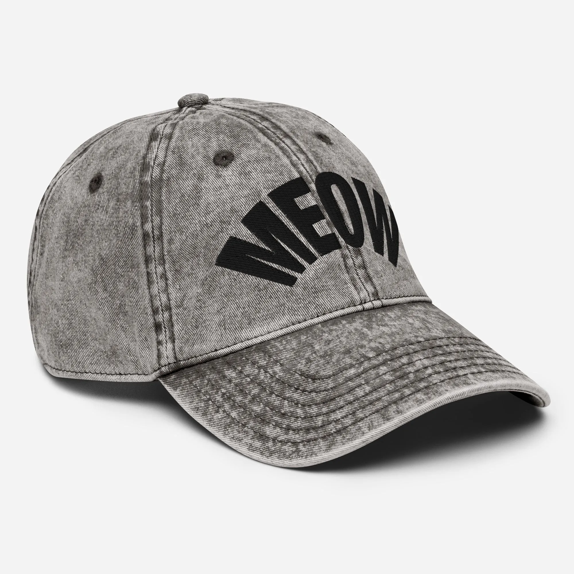Meow Vintage Denim Dad Cap