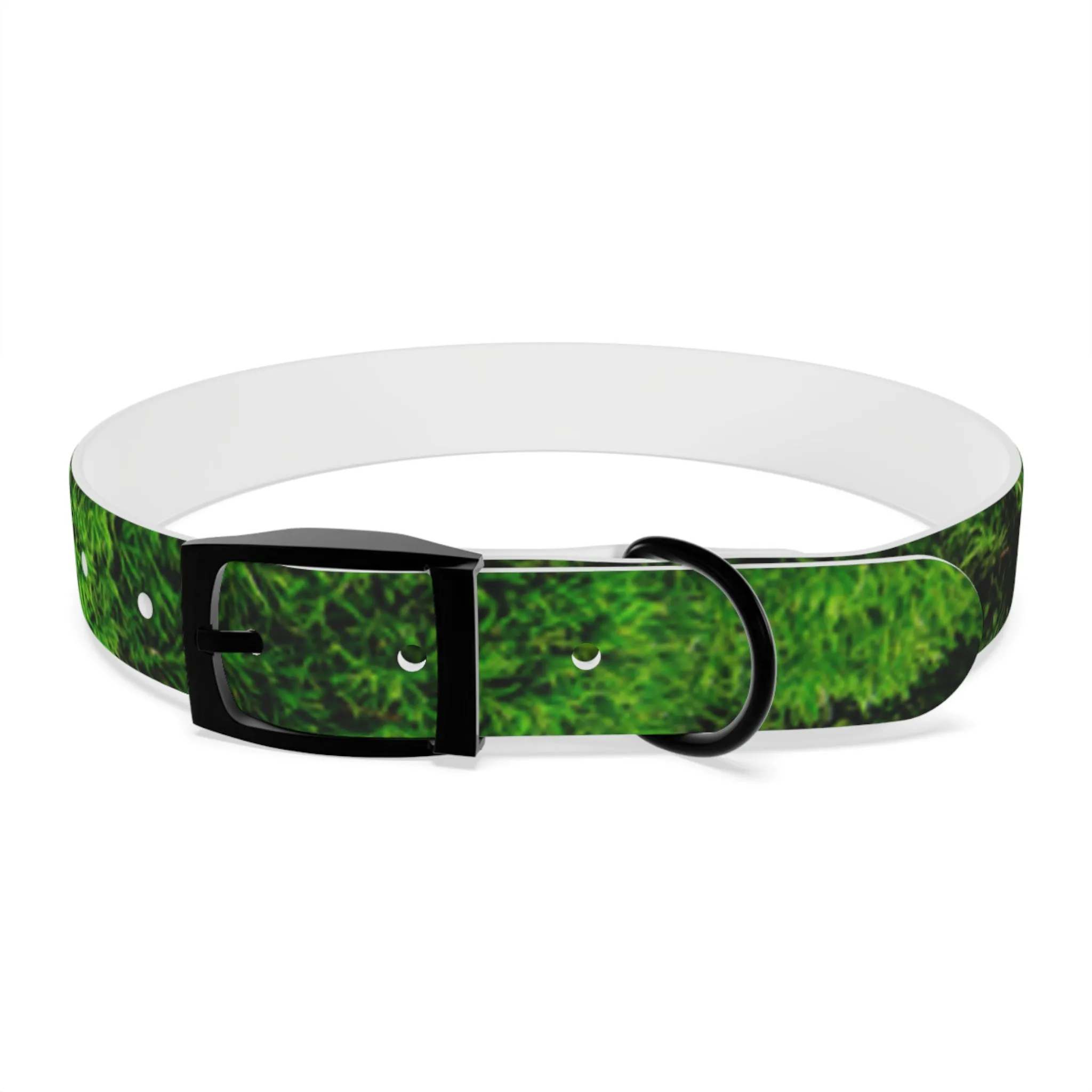 Moss Dog Collar