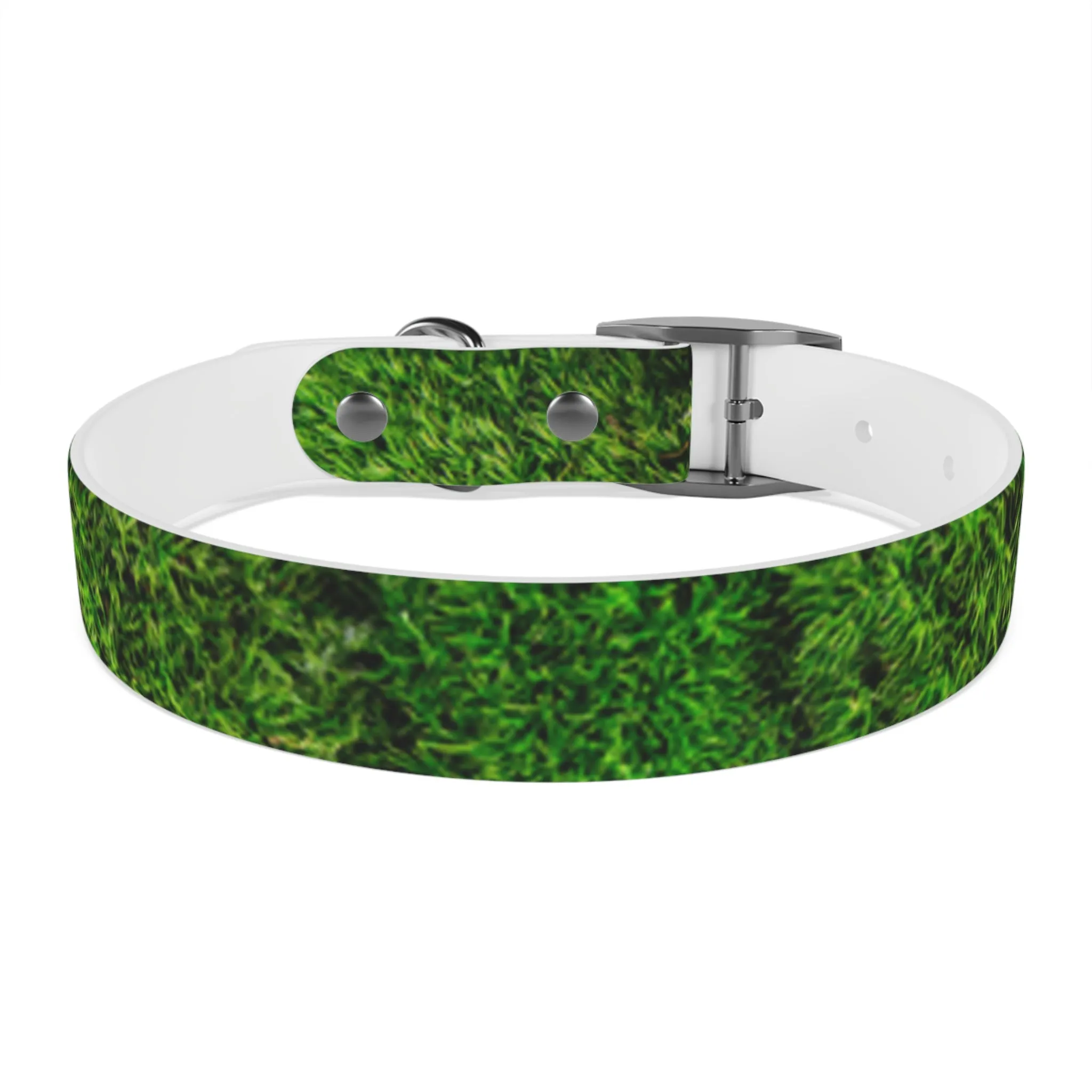 Moss Dog Collar