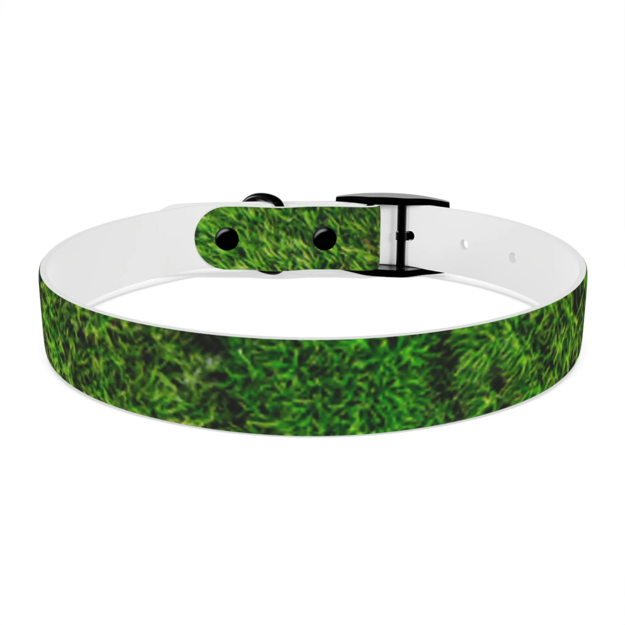 Moss Dog Collar