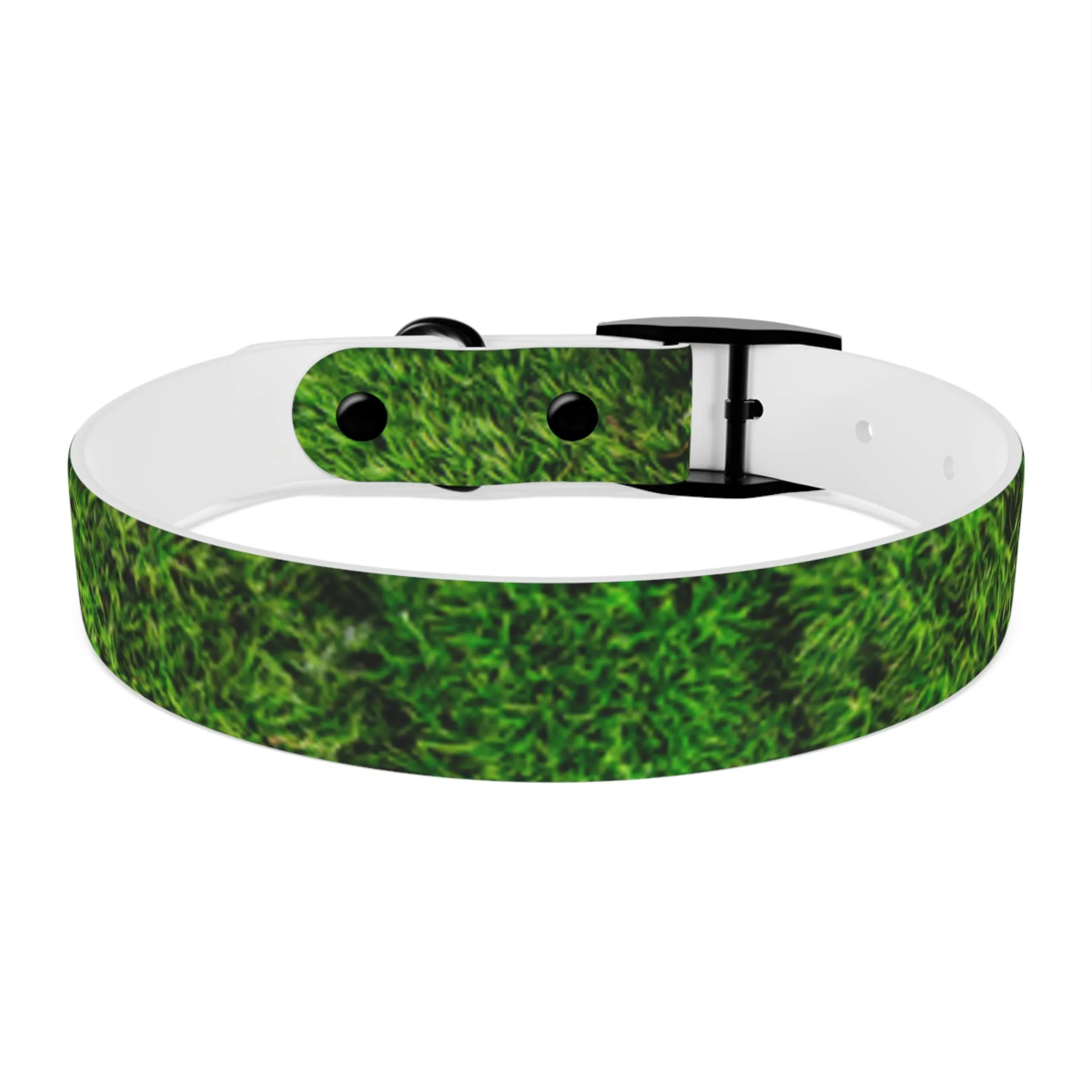 Moss Dog Collar