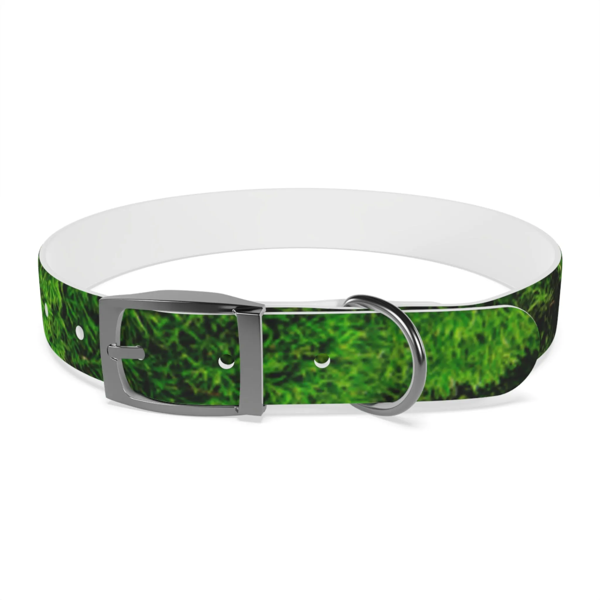 Moss Dog Collar