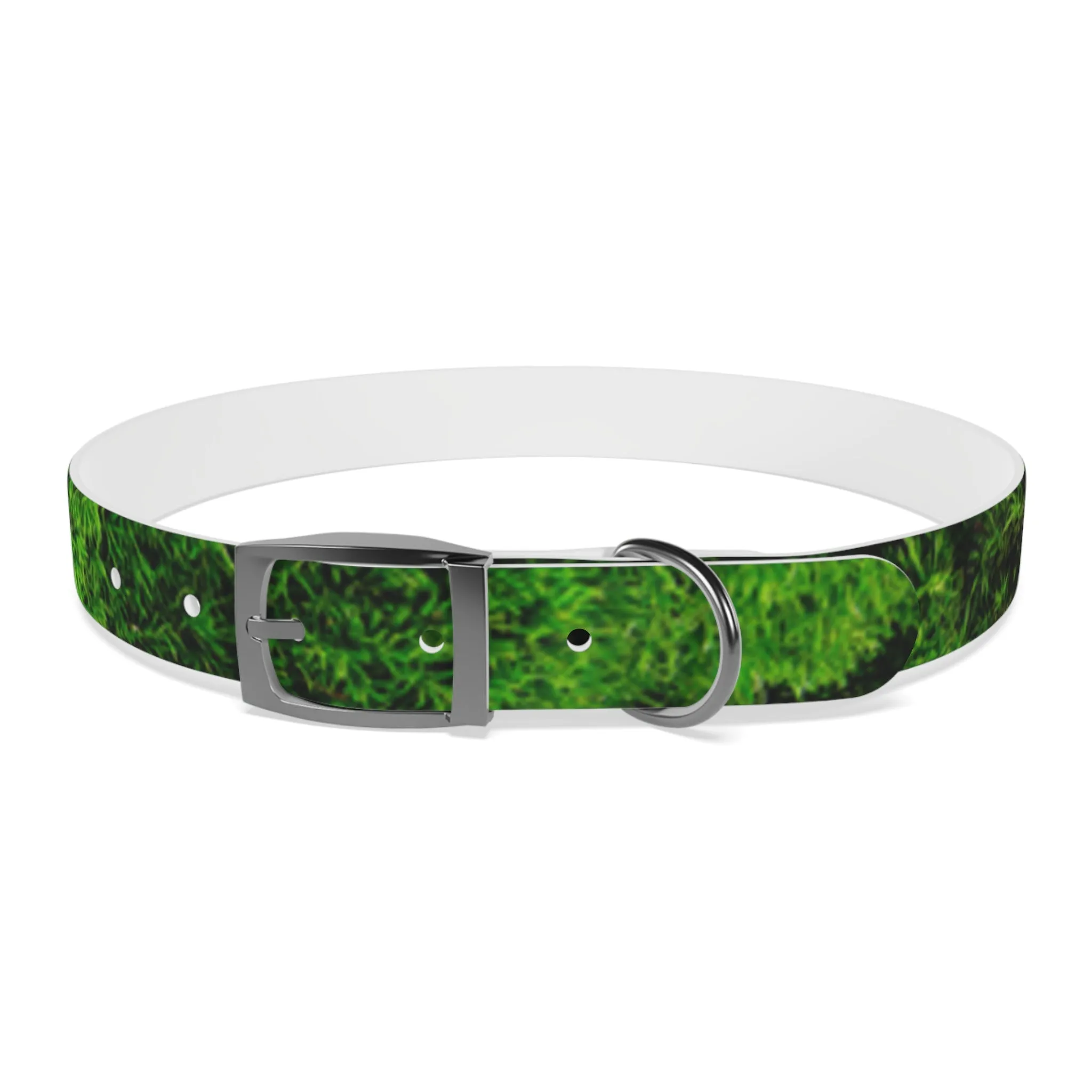 Moss Dog Collar