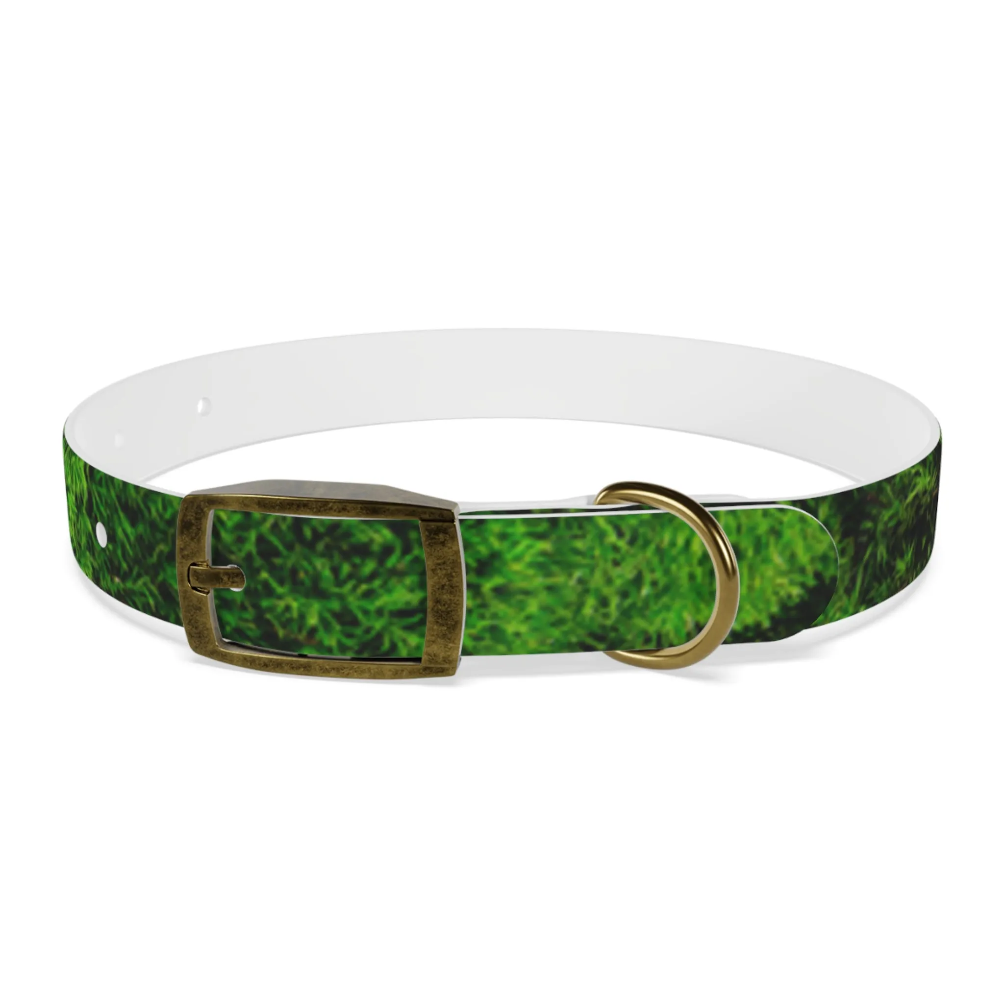 Moss Dog Collar