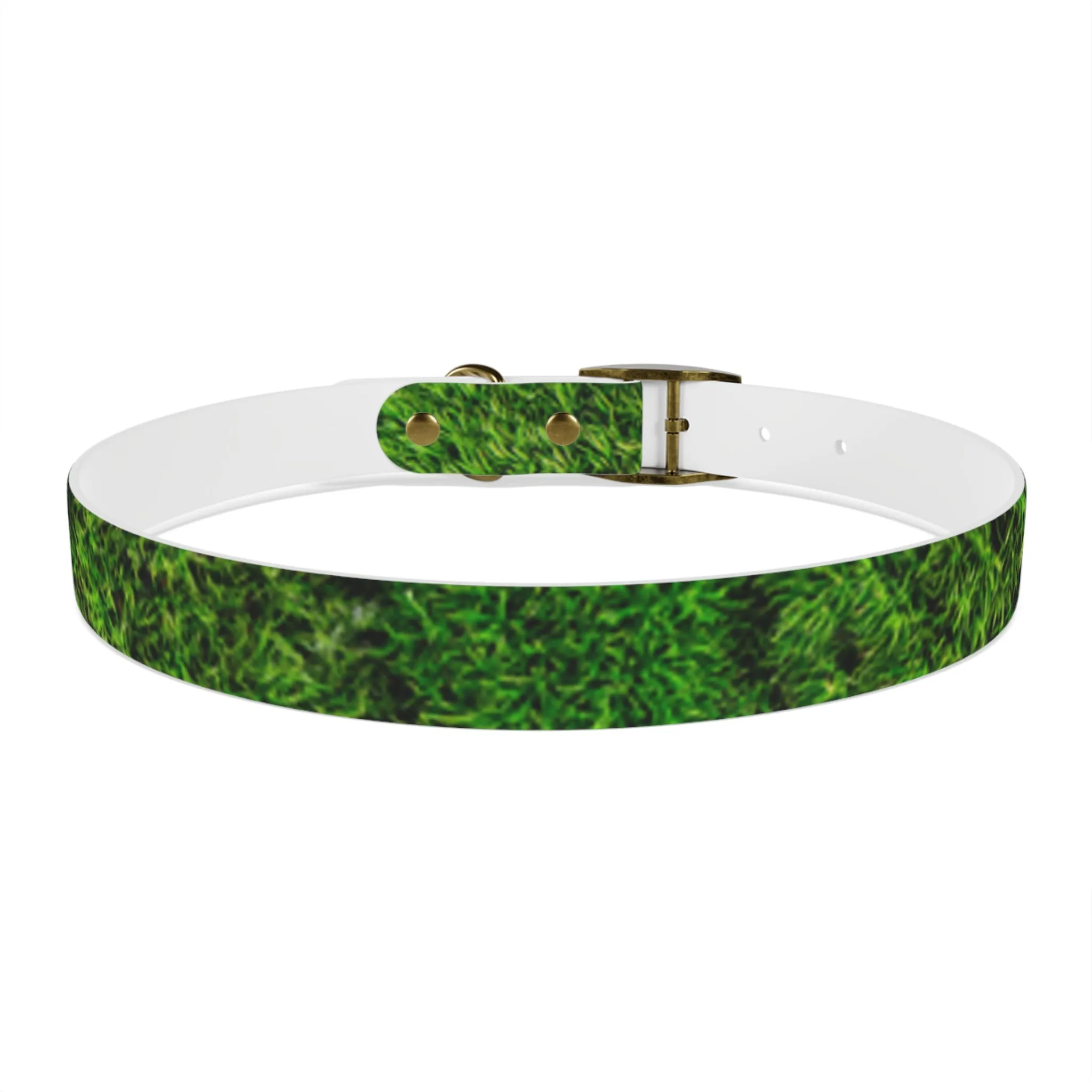Moss Dog Collar