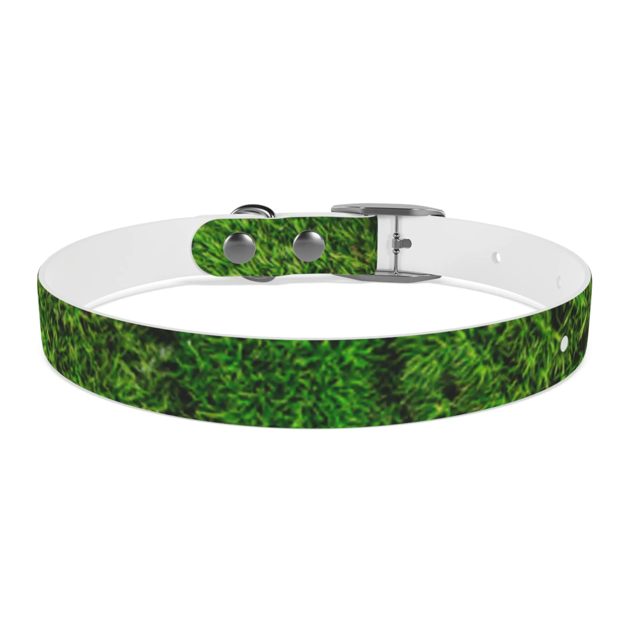 Moss Dog Collar