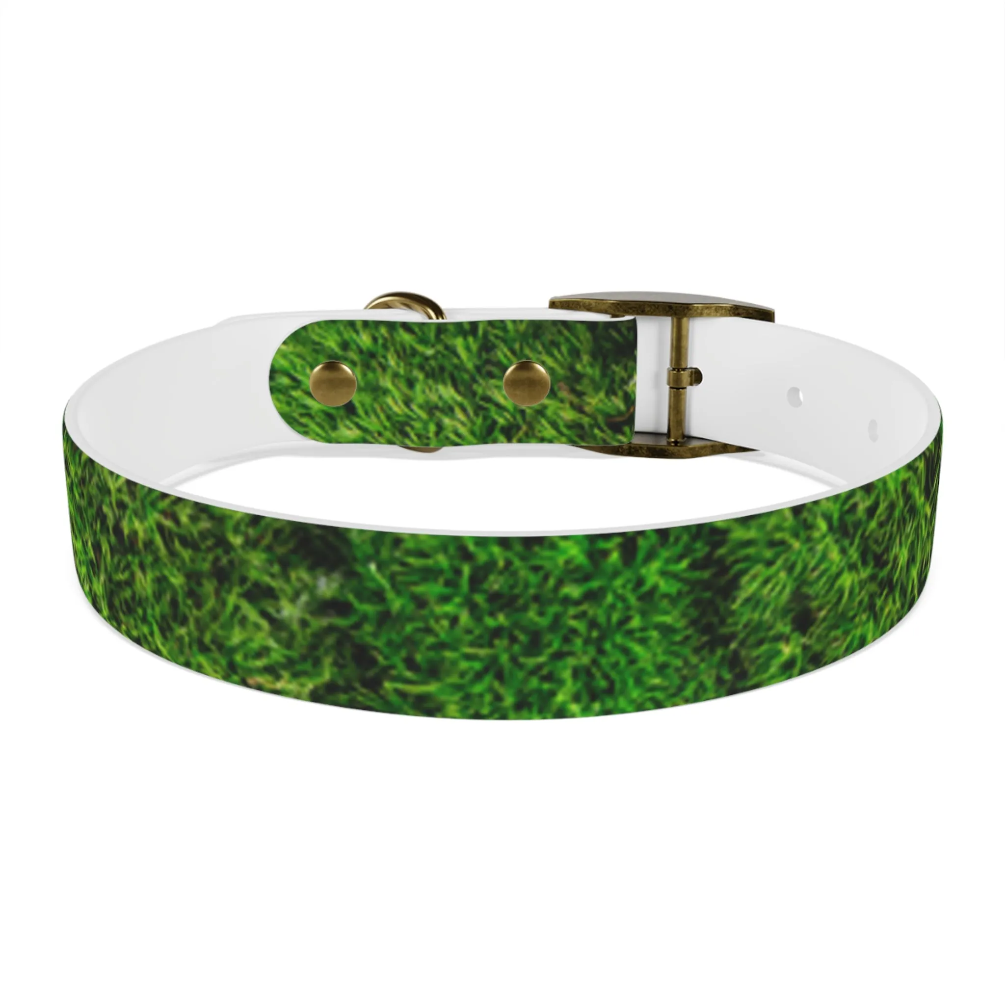 Moss Dog Collar