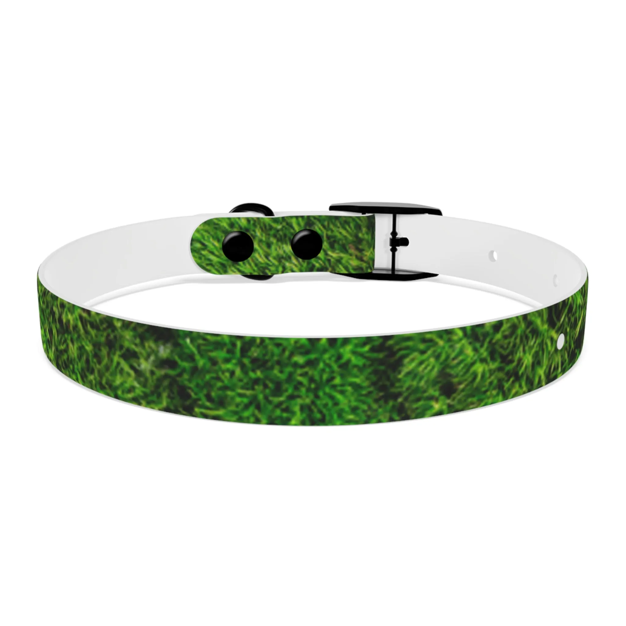 Moss Dog Collar