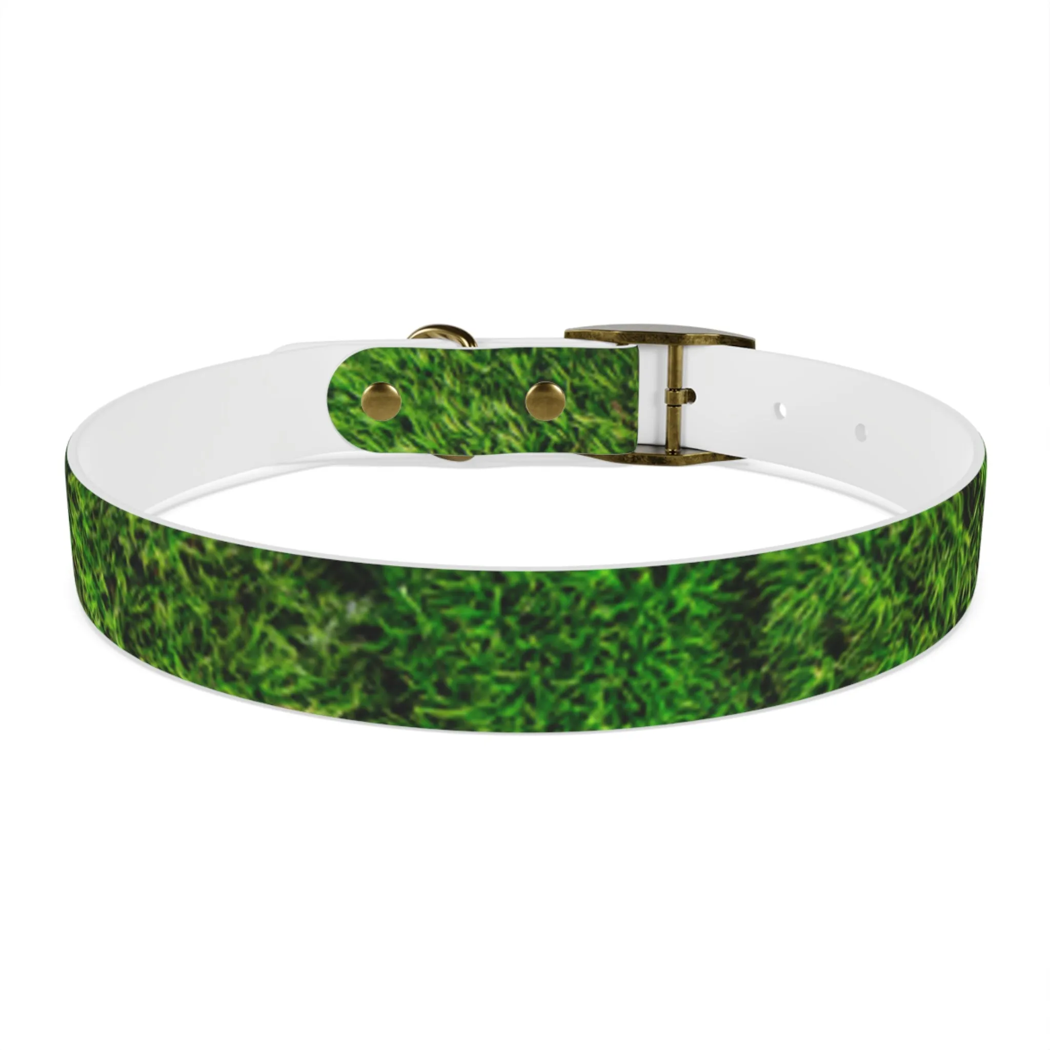 Moss Dog Collar