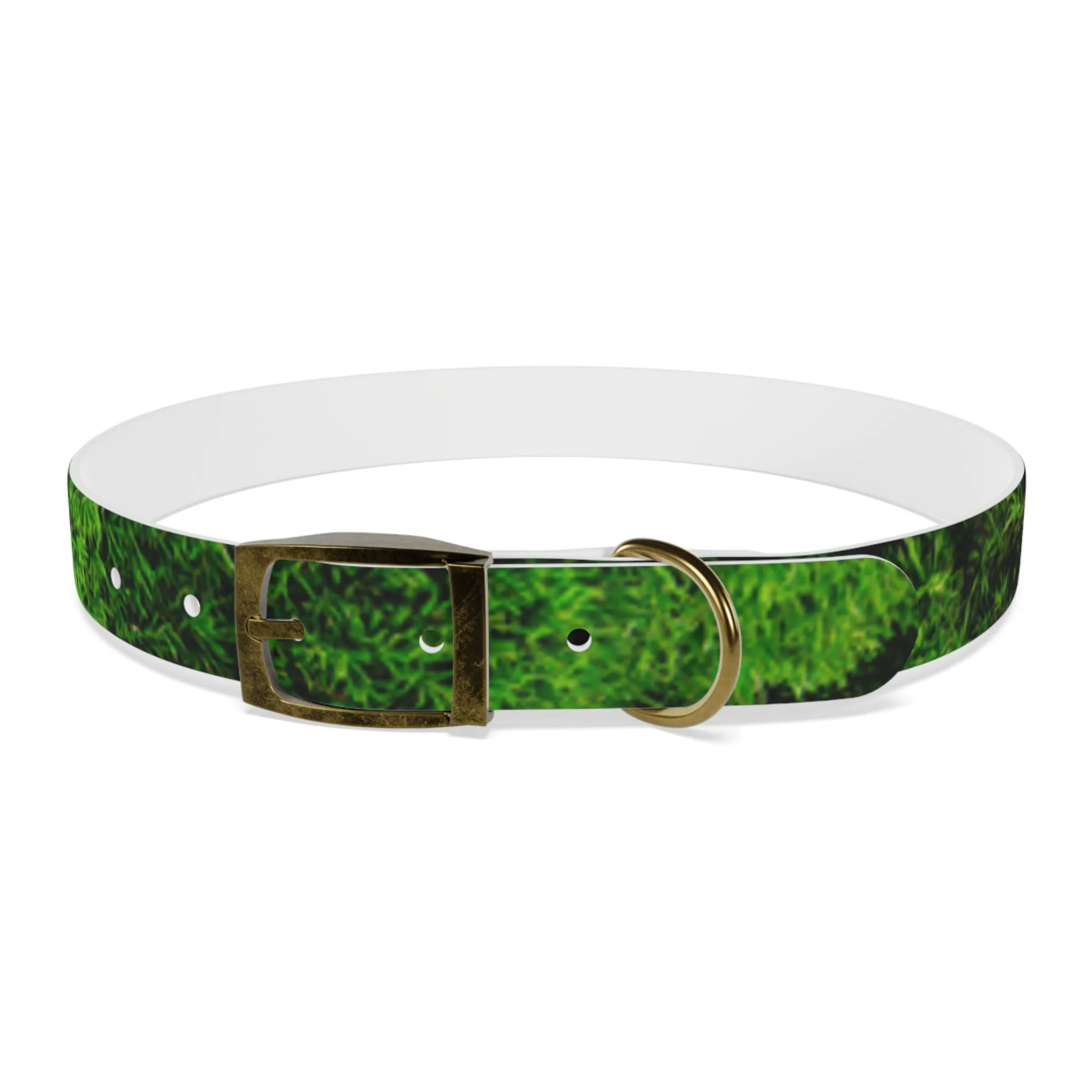 Moss Dog Collar