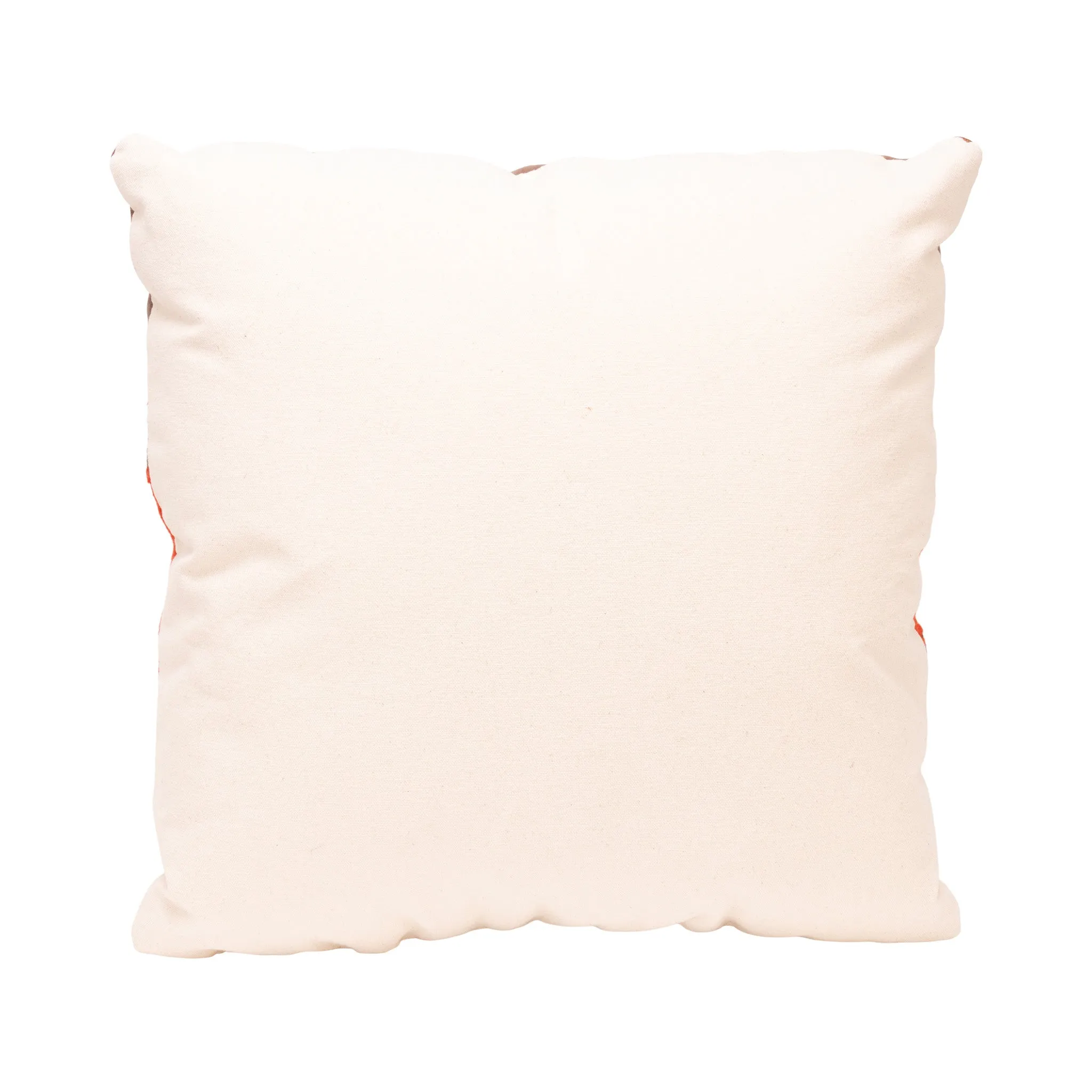 Native Lodge Pillow