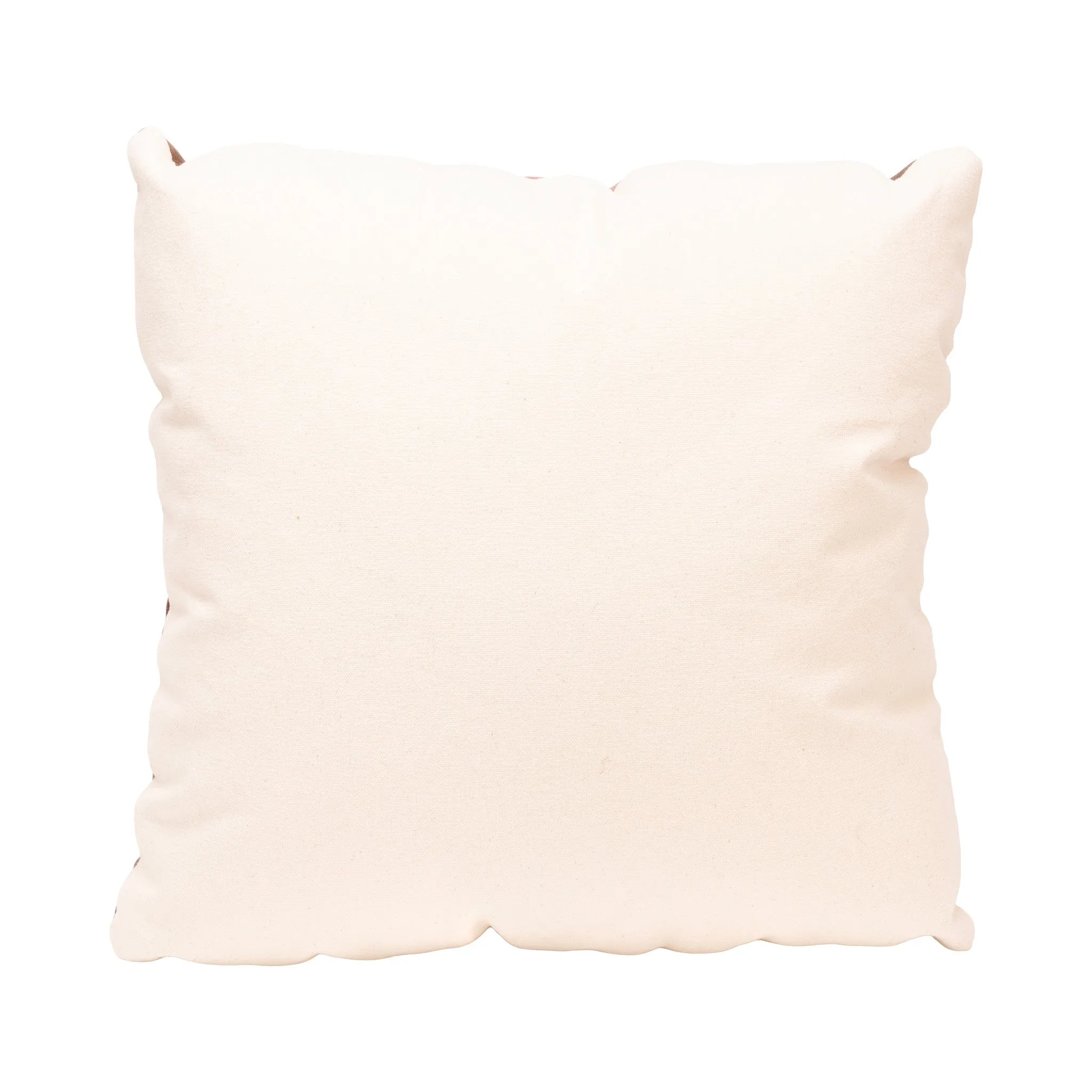 Native Lodge Pillow