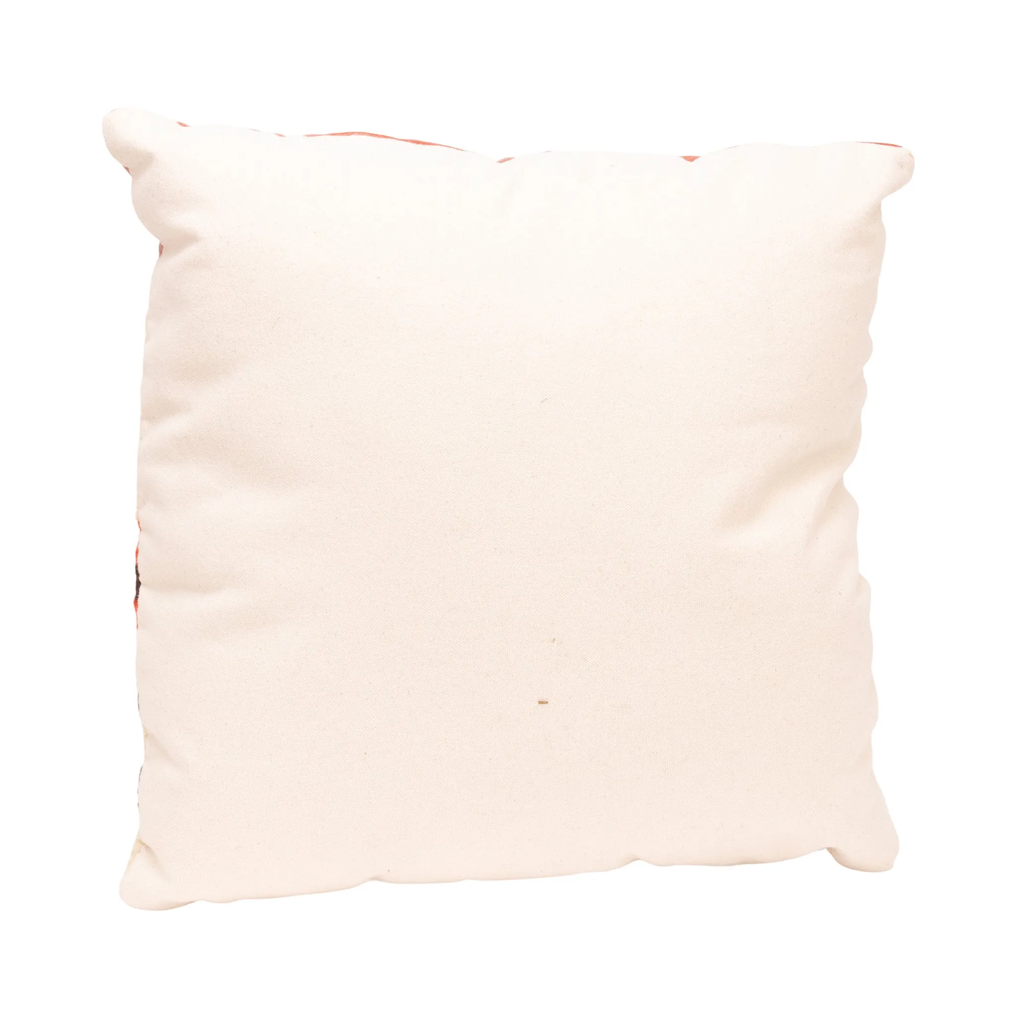 Native Lodge Pillow