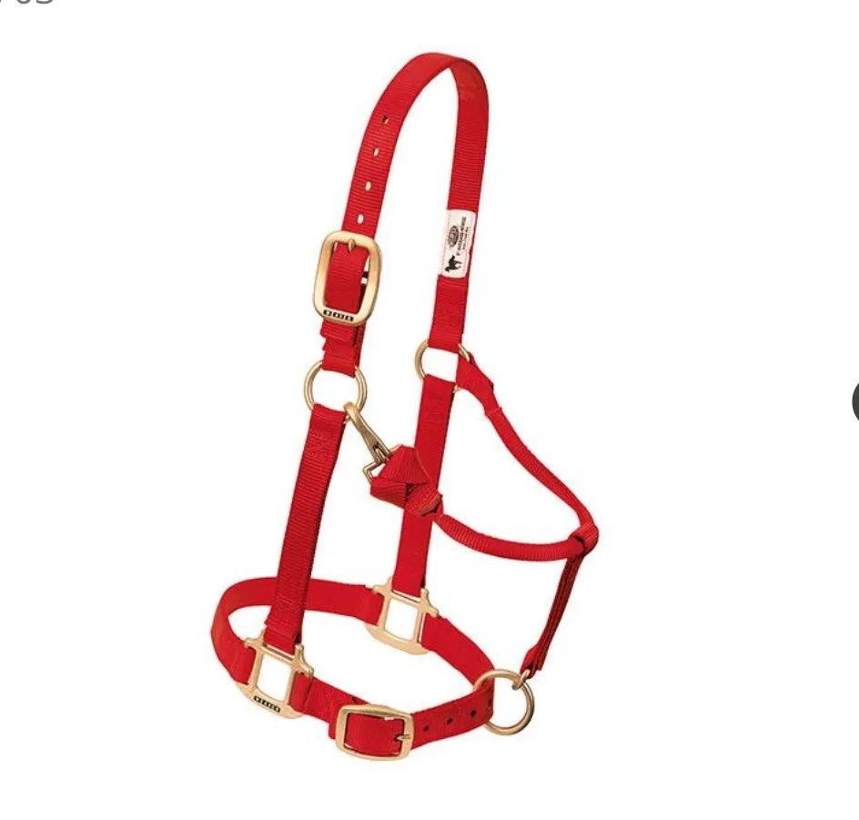 ORIGINAL ADJUSTABLE CHIN & THROAT SNAP HALTER