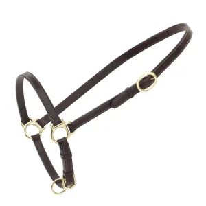 Ovation Leather Traditional Grooming Halter