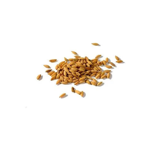 Rice Bran Natural Carrier Oil ( Oryza sativa )