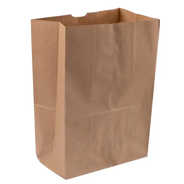 RiteEarth - 1/6 Kraft Plain Paper Barrel Bag, Pack of 500 - PB650K