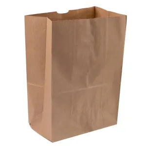 RiteEarth - 1/6 Kraft Plain Paper Barrel Bag, Pack of 500 - PB650K