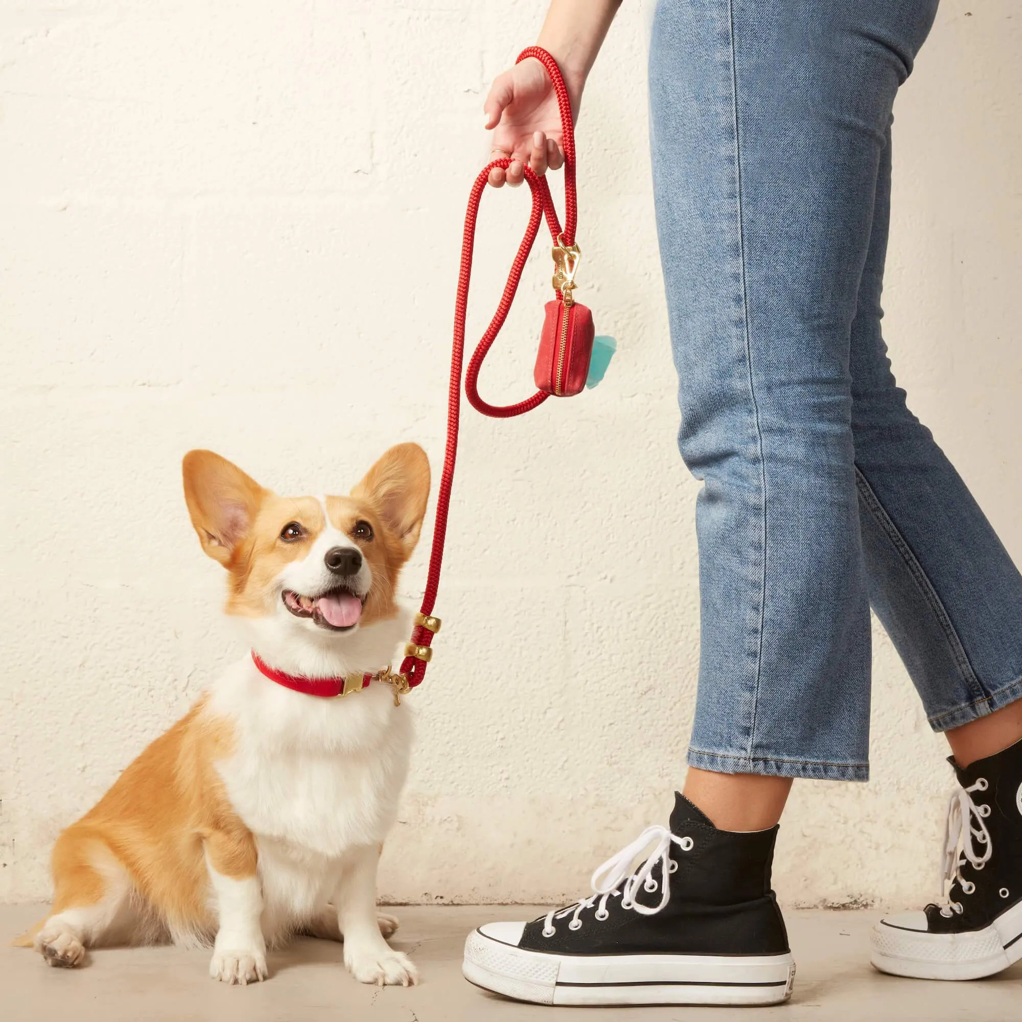 Ruby Waxed Canvas Poop Bag Dispenser