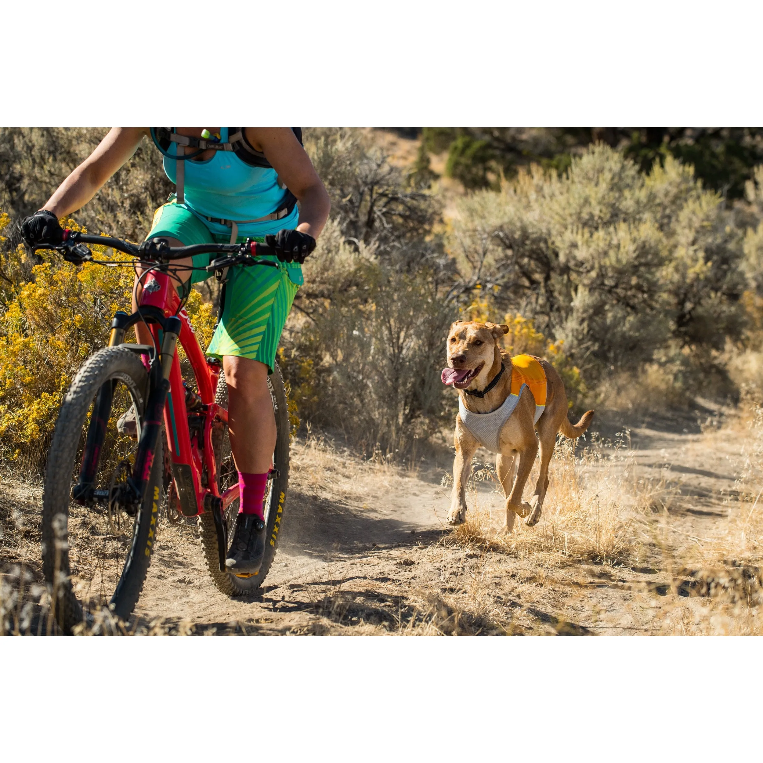 Ruffwear® | Jet Stream™ Dog Cooling Vest