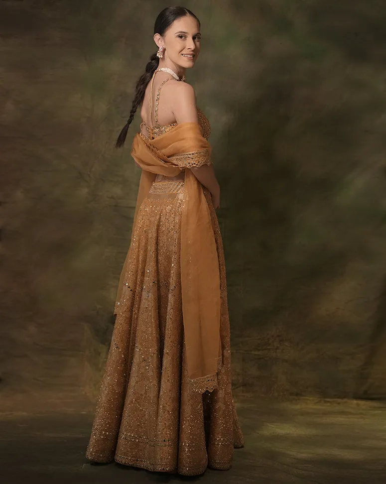 The Embellished Mustard Lehenga