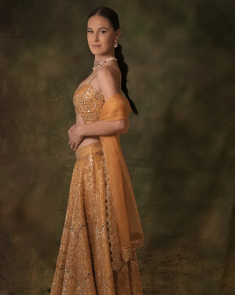 The Embellished Mustard Lehenga