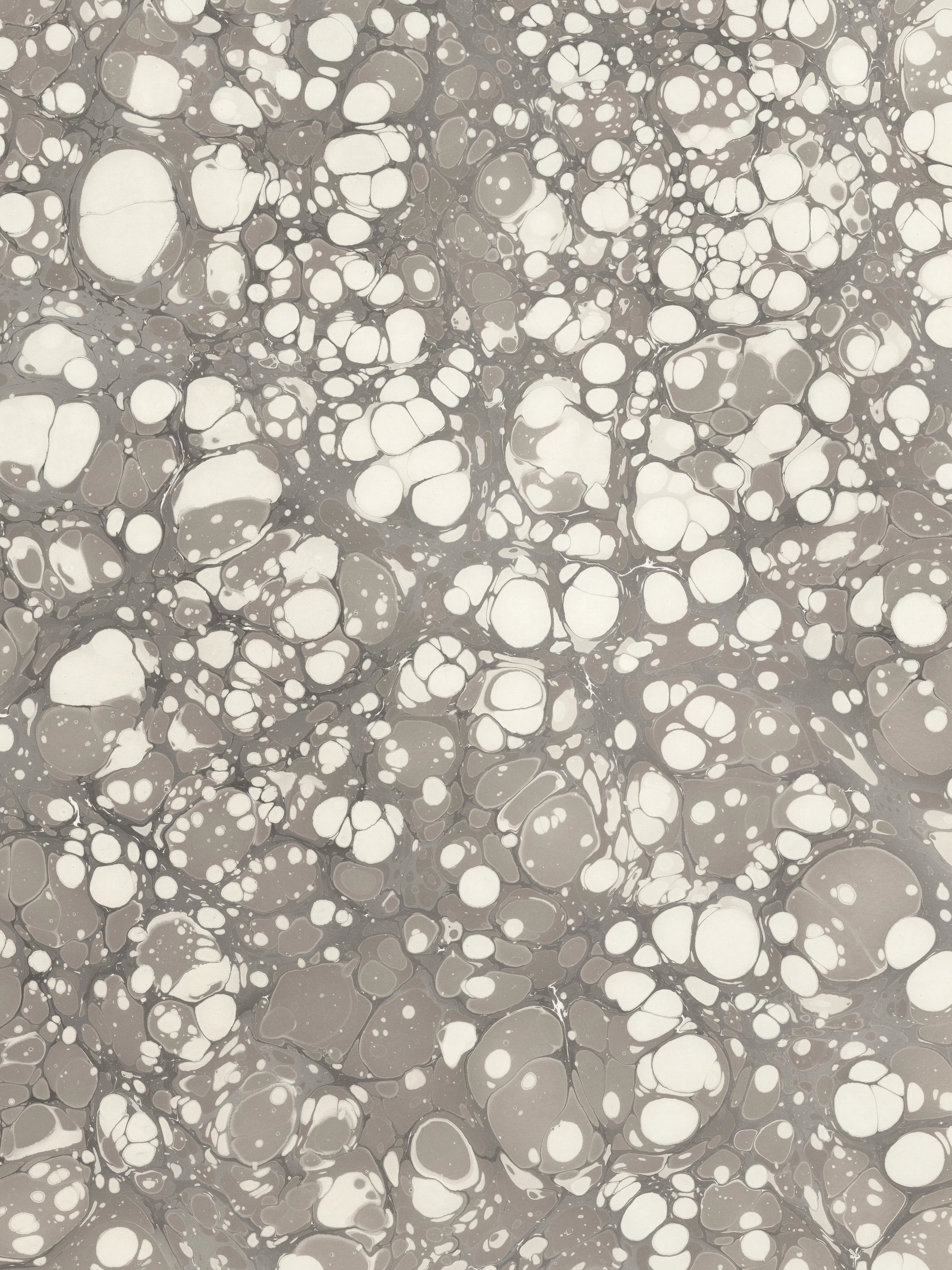 TOPO WALLPAPER / CEMENT