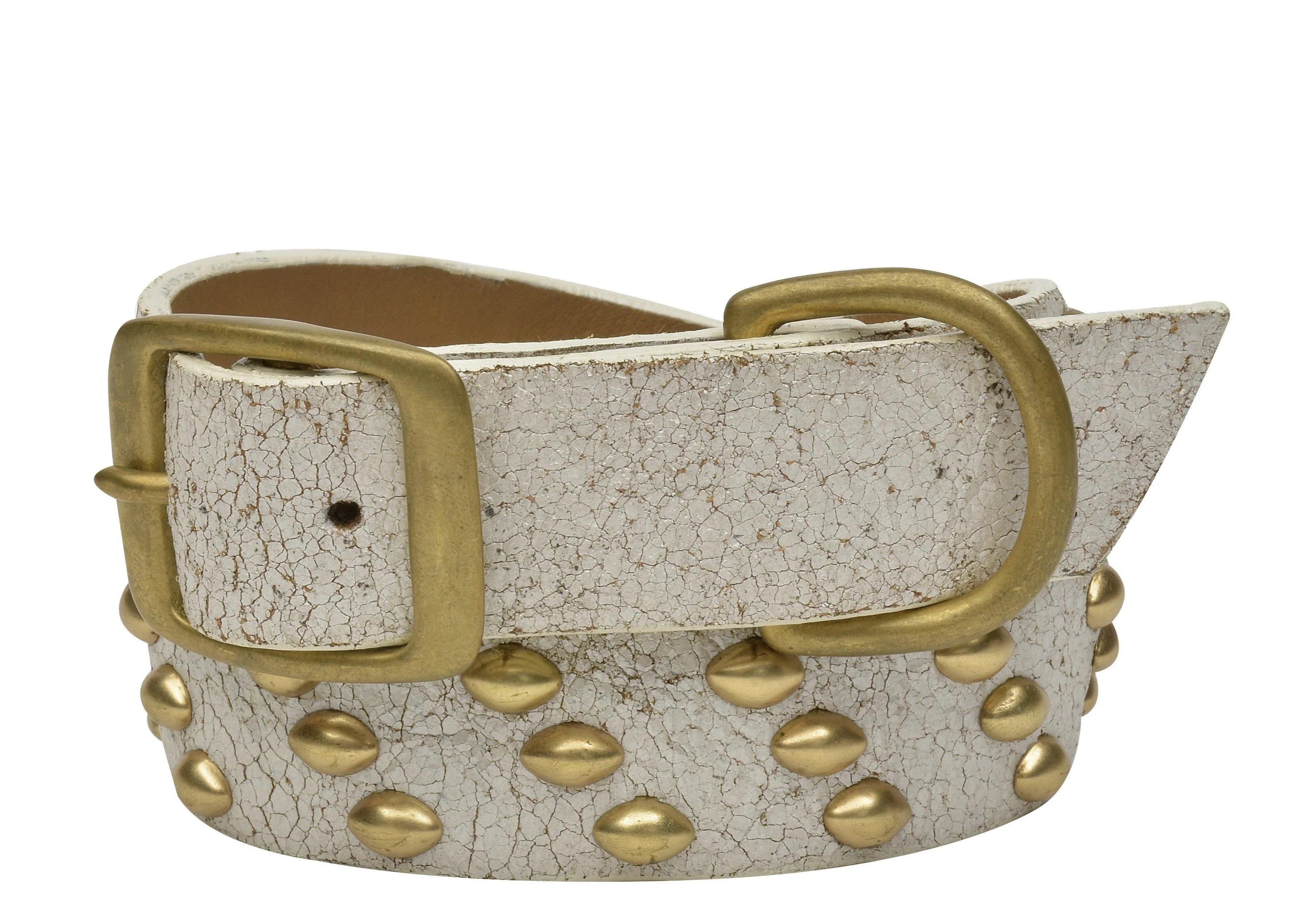 Tortuga 22" Dog Collars