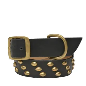 Tortuga 22" Dog Collars