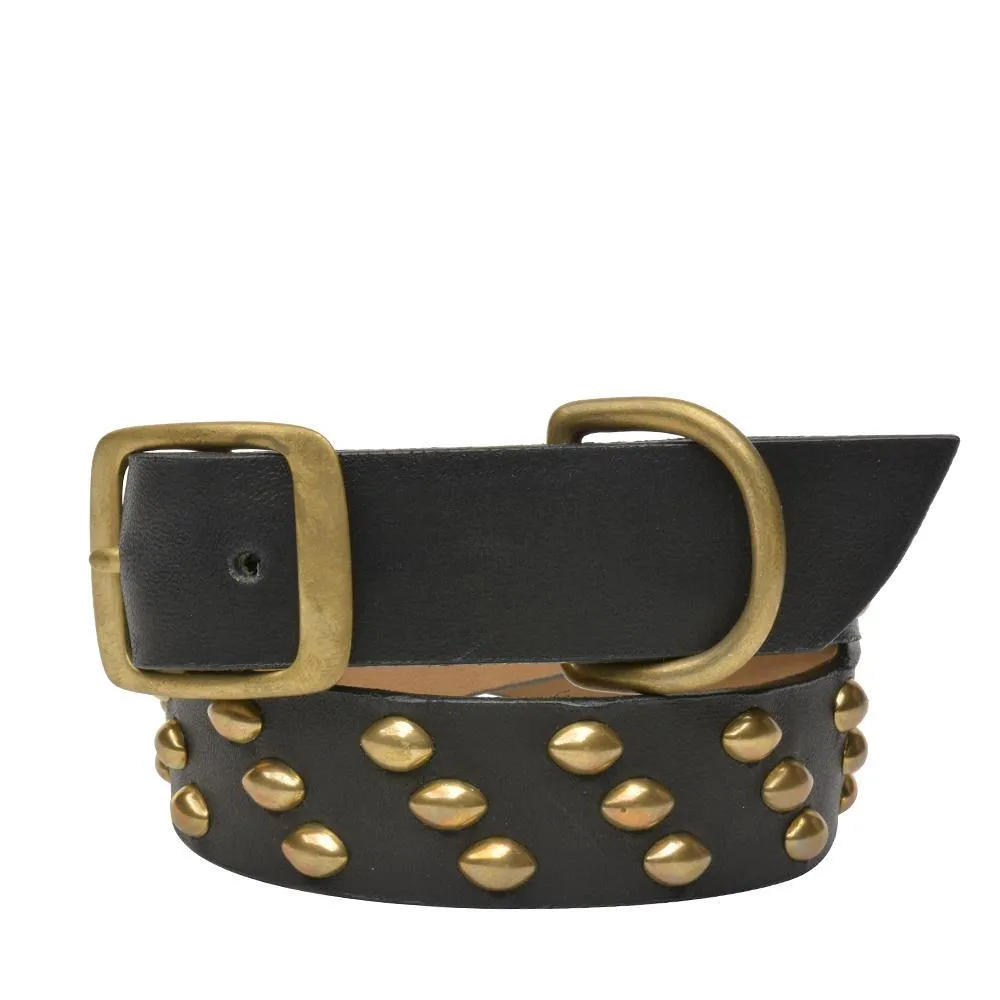 Tortuga 22" Dog Collars