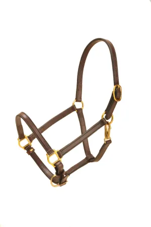 Tory Leather 3/4" Cob Halter Single Crown Buckle