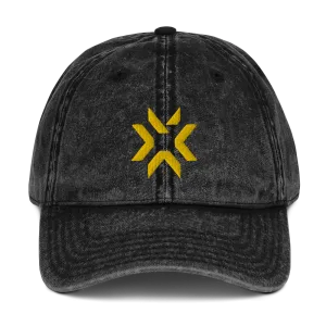 VCT 2022 Denim Dad Hat